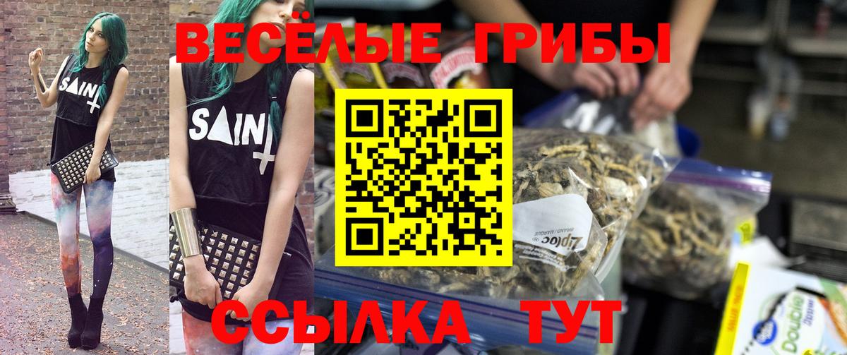 Чистополь  Псилоцибиновые грибы Magic Shrooms  Вход с VPN 
